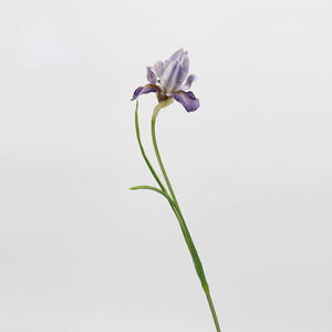 <span class=keywords><strong>Flores</strong></span> <span class=keywords><strong>Artificiales</strong></span> de Iris Púrpura al por Mayor, Tacto Real, PU, Hechas a Mano, Ligeras, Estilo Europeo, 55 cm de Largo, Decoración para Bodas y Hogar - Product Image 5