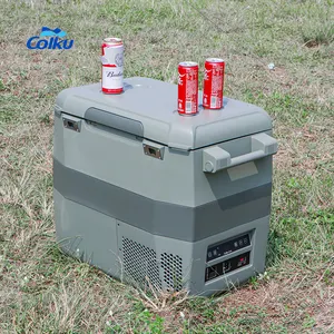 트롤리 유형 45L 60L 휴대용 잡아당기기 막대 옥외 야영을 위한 바퀴 손잡이를 가진 휴대용 차 압축기 냉장고 냉장고 12V 24V