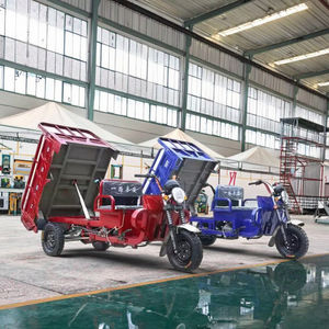 Volcado de motocicleta agrícola de <span class=keywords><strong>tres</strong></span> <span class=keywords><strong>ruedas</strong></span> refrigerado por agua de 250cc con eje de carga de combustible de gasolina Sidecar para pasajeros y carga - Product Image 2