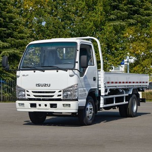 Camion léger Isuzu 100P avec ridelles, 4x2, 4x4, 3 tonnes, 5 tonnes, à vendre - Product Image 3