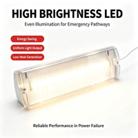 Luz de Emergencia LED con Logotipo del Ministerio del Transporte, con 3 Horas de Funcionamiento, Resistente al Fuego y Eléctricamente Resistente