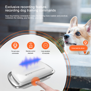 Collier de dressage anti-aboiement pour chien rechargeable personnalisé avec télécommande étanche IP67, portée de 1000 m, dispositif intelligent - Product Image 2