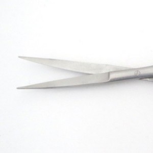 Tijeras para plantas acuáticas de 16 cm, totalmente de acero inoxidable, con puntas rectas y curvas para paisajismo. Planta acuática y acuario - Product Image 1
