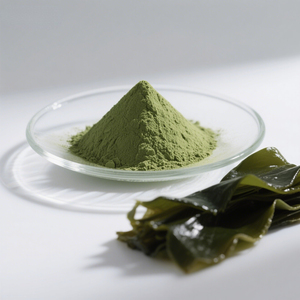 Supply Pure Food Grade 99% Fresh Dehydrated <strong>Kelp</strong> <strong>Powder</strong> <strong>Kelp</strong> Extract <strong>Powder</strong> - Product Image 6