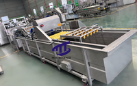 Industriële Automatische Bubbel Wasmachine Voor Fruit/Groente/Zeevruchten Aardappel Wortel Dadels Vis Garnaal Reinigingsapparatuur