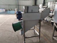 Portable nouveau Type ligne complète de processeur de peau d'ail séparateur d'ail sec Machine moteur noyau composant commerce propre Machine