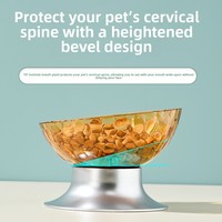 Mangeoire double surélevée en plastique pour animaux de compagnie avec conception anti-déversement et support cervical pour chats et chiens, pour l'alimentation en intérieur