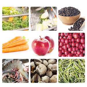 Planta de procesamiento de jugo de fruta Chile sandía langosta equipo limpiador - Product Image 4