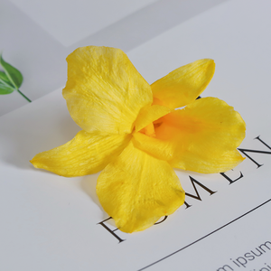 Fleurs décoratives stabilisées <span class=keywords><strong>Cymbidium</strong></span>, <span class=keywords><strong>prix</strong></span> d'usine en gros, naturelles et durables, 3-5 ans, pour la Fête des Mères - Product Image 5