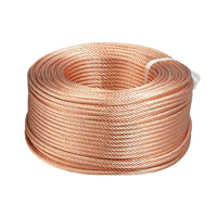 Fil tressé en cuivre pur hautement flexible, anti-oxydation, cuivre étamé pour connexion électrique et mise à la terre