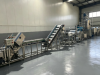 Volledig automatische fruitconservenlijn voor tropische fruitverwerkingsfabriek voor de verwerking van perzik, ananas, peer en mango