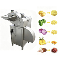 Roestvrijstalen sterke, duurzame groente- en fruitsnijmachine met grote capaciteit, geschikt voor het snijden van uien, aardappelen en wortelen.