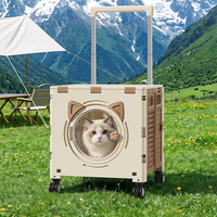 Poussette pliable transparente pour animaux de compagnie, pour petits chiens et chats, chariot de transport et de rangement avec roues détachables