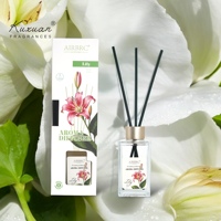 Ensembles de cadeaux de diffuseur de roseau d'aromathérapie de luxe de 120ml Diffuseur de roseau élégant d'aromathérapie de bouteille unique pour la décoration de voiture à la maison