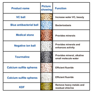 ไส้กรองฝักบัวพร้อม KDF ฟังก์ชั่นน้ำฝน 1 ขั้นตอน ติดตั้งง่าย เปลี่ยนได้ สำหรับใช้ในครัวเรือน - Product Image 1