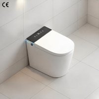 Toilette intelligente électrique automatique pour hôpital, cuvette de bidet, siphon en S, fixation au sol, siège chauffant