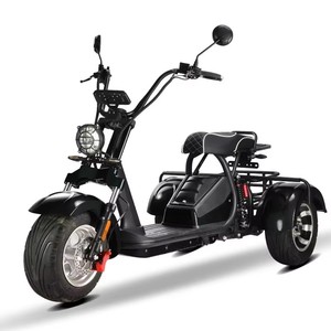 รถสามล้อผู้ใหญ่ รุ่นใหม่ ปี 2026 แบตเตอรี่ลิเธียม 2000W 60V ขายดี - Product Image 4