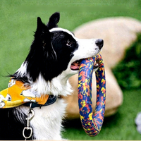 Jouets à mâcher pour animaux de compagnie en EVA non toxique, fournis directement par l'usine, jouets interactifs pour chiens pour l'entraînement à l'obéissance et au tirage à la main