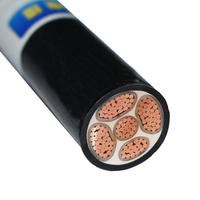 Venta Directa de Fábrica, Cable de Alimentación Blindado YJV22 0.6/1kV 450+125mm², 10~400mm² Opcional, Estándar IEC, para Subestaciones