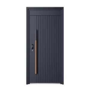 Exterior main entrance metal security steel single door