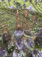 Tissu de Luxe en Dentelle Brodé Plat Plumes de Paon Exquises avec Perles Tubulaires pour Robe de Soirée Sirène 2026