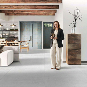 Edgar White Micro Cement Porcelain <b>Tiles</b> 24x48 Inch Matte Floor Wall Collection - Product Image 5