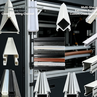 Série de profilés d'extrusion multi-formes personnalisés en plastique et caoutchouc |   Profilés de canalisation et de recouvrement pour la construction d'équipements et la logistique