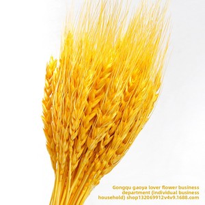 Composizioni Floreali Decorative Naturali Fatte a Mano con Fiori Secchi, Spighe di Grano e Accessori Floreali di <span class=keywords><strong>Orzo</strong></span> - Product Image 5