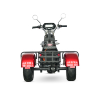 Harga Grosir Truk Kargo Roda Tiga Sepeda Listrik SHANSU CP-3 2000W Sepeda Listrik Roda Tiga Kecepatan 45KM/J Bersertifikat EEC COC