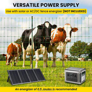 Filet de clôture électrique amovible d'usine, filet de clôture électrique pour chèvre - Product Image 3