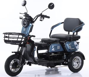 2025 meilleur tricycle passager à 3 roues vélo tricycle électrique à <span class=keywords><strong>deux</strong></span> places 48v <span class=keywords><strong>pour</strong></span> adultes et <span class=keywords><strong>personnes</strong></span> âgées - Product Image 6