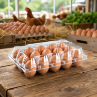 Boîte à œufs transparente en PET avec couvercle à charnière et fermeture à clip pour 15 œufs, emballage jetable pour volailles, qualité alimentaire, vente en gros, OEM personnalisé, vente au détail