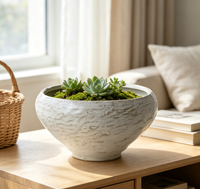 Pot de fleurs en céramique texturée fait main, blanc mat vieilli, pour plantes succulentes, décoration intérieure de table