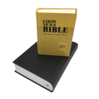 Personnalisé de haute qualité vente chaude gratuit King James Bibles vente de gros service d'impression de livres en Chine grand fabricant
