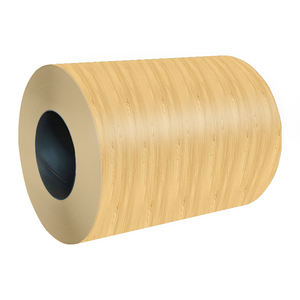 Ppl Gi Zinc بألوان مدلفنة على البارد/PPGI PPGL للمنزل الجاهز - Product Image 5