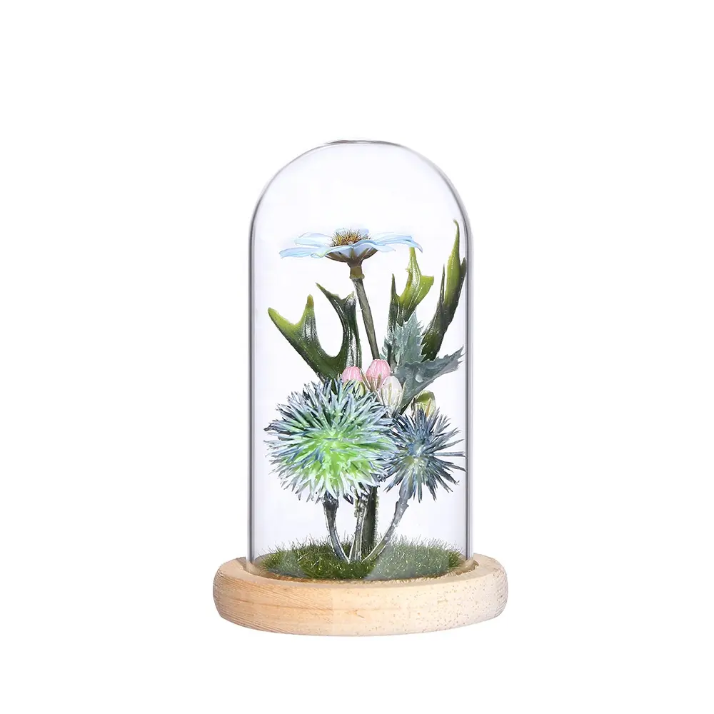Eternal LED Light Micro Artificial Greenery Landscape Moss Flower in Glass Dome for Valentine Home Decoration Gift Box