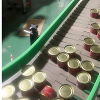 Concentré de pâte de tomate pelée en conserve sous marque privée, salée et en conserve