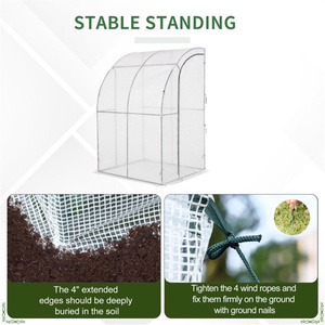 Mini-serre Db Walk In 60x40x72 en acier avec panneaux en polycarbonate, abri de jardin écologique pour usage intérieur et extérieur - Product Image 5