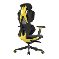 Chaise de jeu ergonomique réglable haut de gamme JNS W205 pour le bureau et les joueurs