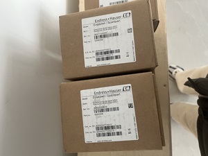 Module de commutation de niveau à diapason E+H, sortie : 0/5V ou 0/10mA - Product Image 3