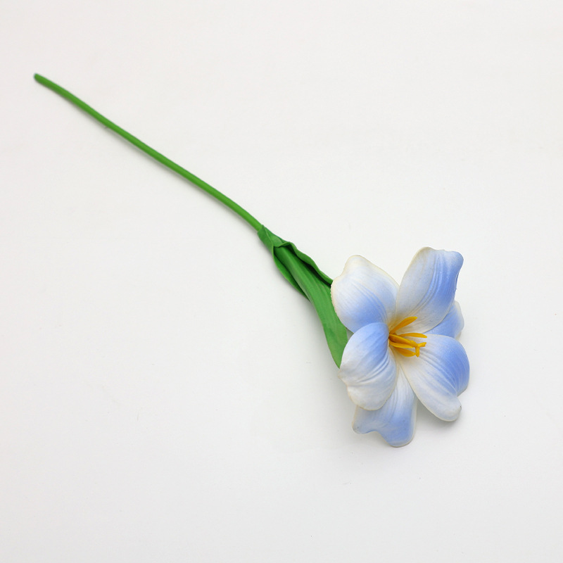 Tulipes à fleurs bleues