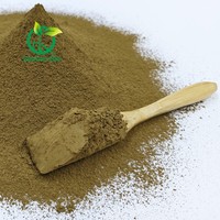 Poudre de Hojicha Naturelle pour Latte, Hojicha Torréfié Clair, Moyen et Foncé