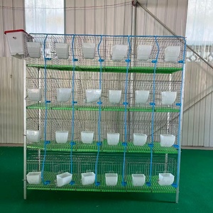 Fabricant Professionnel de Cages Commerciales à 4 Niveaux et 24 Compartiments pour l'Élevage de Lapins - Product Image 4