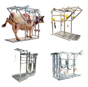 Cattle equipment / Cattle Hoof Trimming / ELECTRIC-HYDRAULIC CATTLE CRUSH