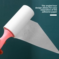 Rouleau anti-poils détachable en forme de peigne OEM/ODM pour chats à poils courts, décapant de poils portable pour vêtements, disponible pour