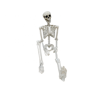 Model kerangka anatomi manusia 150cm dengan Model kerangka ukuran kehidupan manusia ligamen untuk sains medis - Product Image 3