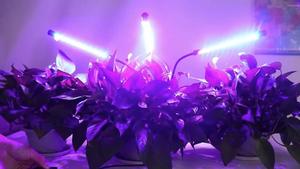 Barre de culture LED à double tête, spectre complet 40W, corps en plastique pour la croissance végétative des plantes d'intérieur avec lumière rouge et bleue - Product Image 6