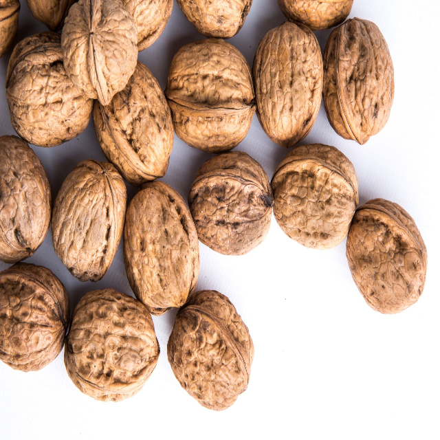 High Quality Natural Organic Baked Hard
