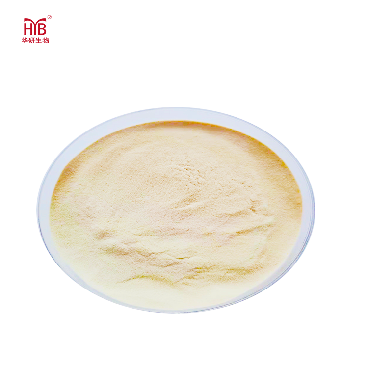 How to Choose the Best Sugar Beans Powder: A Complete Buying Guide