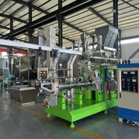 Ligne de production automatique d'aliments pour animaux de compagnie, usine de fabrication d'aliments secs pour chats et chiens de grande capacité, machine industrielle de fabrication d'aliments pour chiens et chats